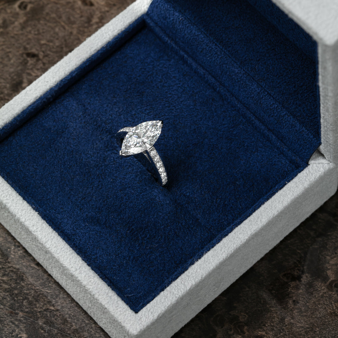Marquise Élégance (MG024)