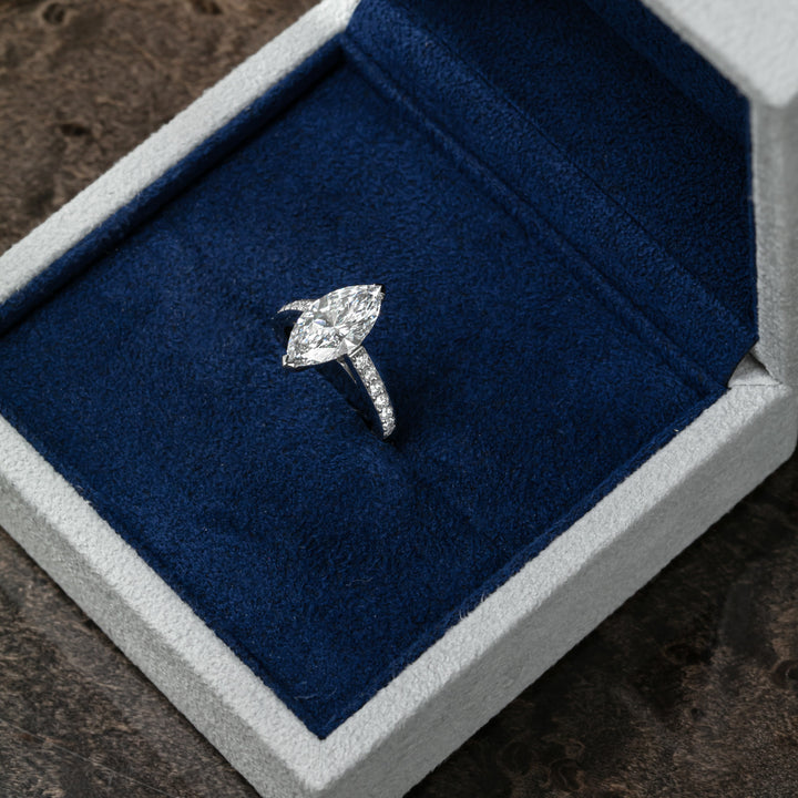 Marquise Élégance (MG024)