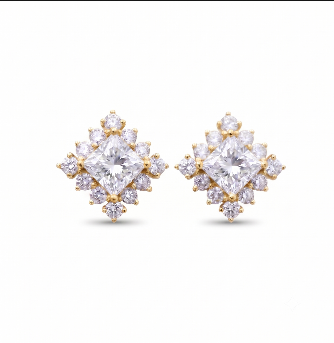Oval Earrings